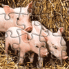 3 Piglets Jigsaw