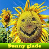 Sunny glade
