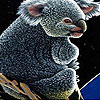 Acrobat koala slide puzzle