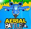 Aerial Battle