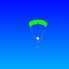 Aerial Diver