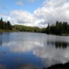 Algonquin Jigsaw