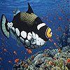 Alone clown fish slide puzzle