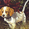 Alone dog in the woods puzzle