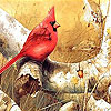 Alone little bird slide puzzle
