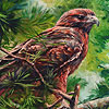 Alone mountain hawk puzzle