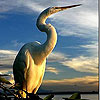 Alone Stork slide puzzle