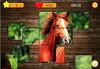Alternative Puzzles