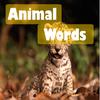 Animal Words