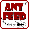 Ant Feed