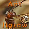 Ant Jigsaw