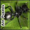 Ant Puzzles