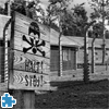 Auschwitz Birkenau