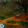 Autumn Forest Jigsaw Puzzle