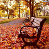 Autumn Park Jigsaw