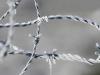 Barbed wire in pieces of ice crystals