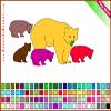 Bear Coloring