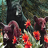 Bear family in the jungle slide puzzle