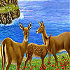 Beautiful gazelles slide puzzle