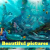 Beautiful pictures