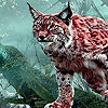 Beauty forest lynxes puzzle