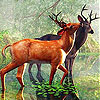 Beauty on the lake slide puzzle