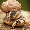 Best cute friends slide puzzle