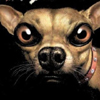 beware of dog tower defense