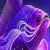 Big purple fish slide puzzle