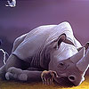 Big rhino slide puzzle
