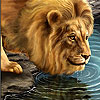 Big thirsty lion slide puzzle