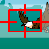 Bird Chase