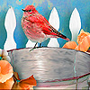 Bird in the bucket slide puzzle