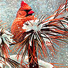 Bird in the winter slide puzzle