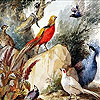 Birds in the woods slide puzzle
