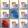 Birds Match