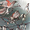 Birds on a tree slide puzzle