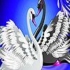 Black and white swans slide puzzle