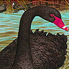 Black beauty slide puzzle