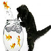 Black cat and red fishes puzzle