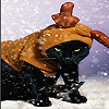 Black cat and snow slide puzzle