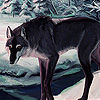 Black wolf in the woods slide puzzle