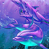 Blue dolphins puzzle