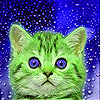 Blue eyes cat slide puzzle