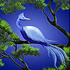 Blue historic bird slide puzzle