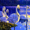 Blue lake and swans slide puzzle