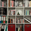 Bookshelves of Mystery Hidden Objects