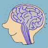Brain test