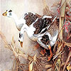 Brown goose family puzzle