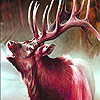 Brown mountain deers puzzle